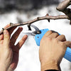 Codirom Professional 14" Blue Cordless Electric Pruning Garden Shears