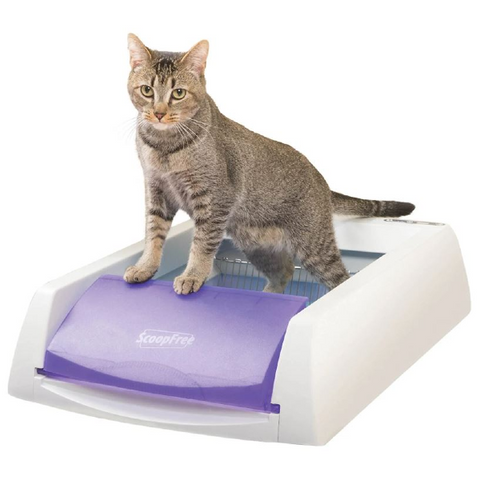 PetSafe ScoopFree 27" Purple Automatic Self Cleaning Cat Litter Box