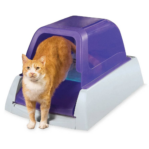PetSafe ScoopFree 28" Purple Automatic Ultra Self-Cleaning Cat Litter Box